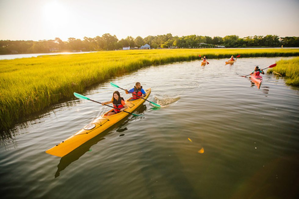 Canoe Paddle?