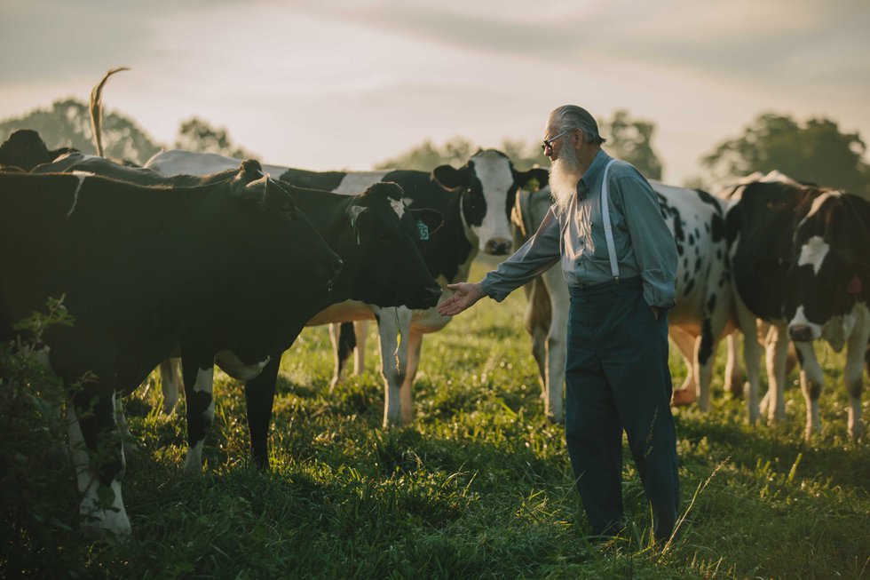 Dairy Days