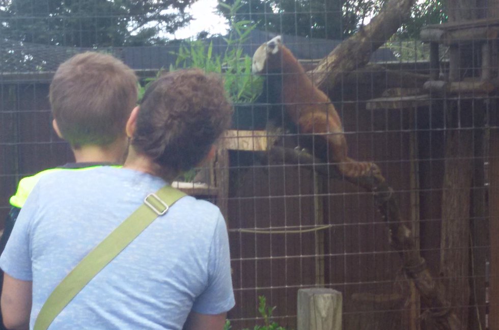Munchin’ With Mammals