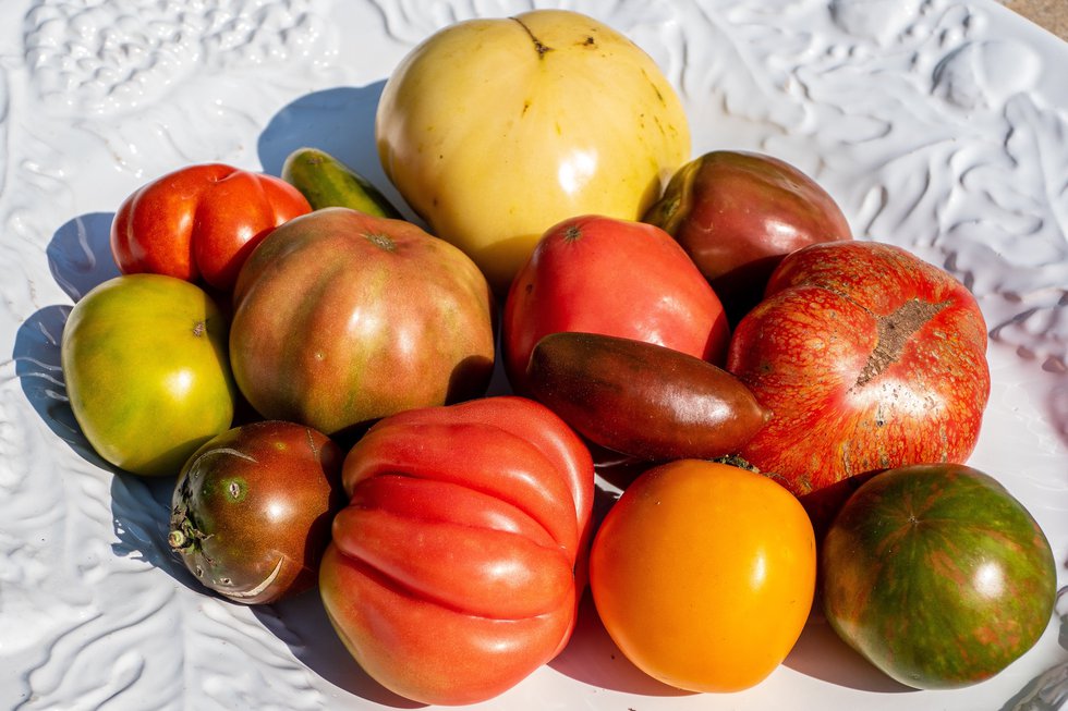 A Toast to Tomatoes