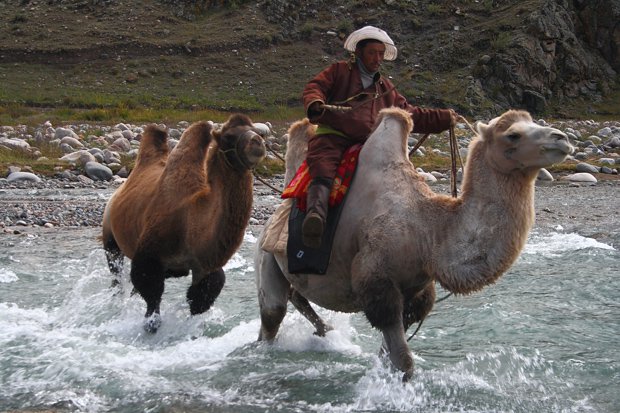 Nomading Mongolia