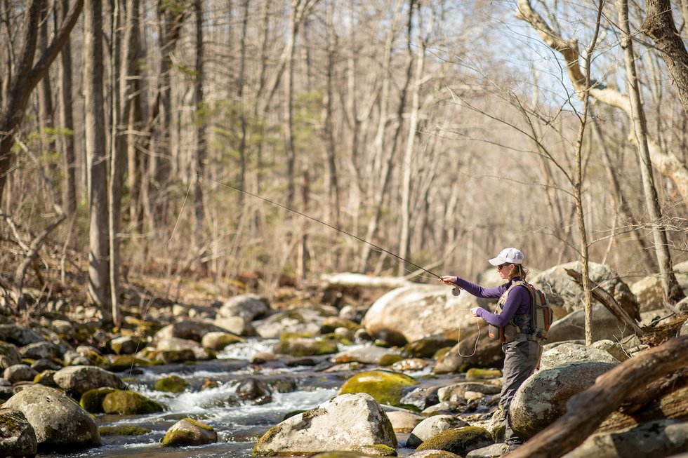 A (Scenic) River Runs Through It