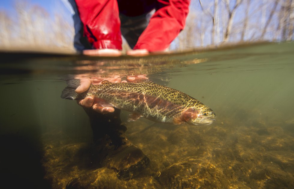 The Life-Changing Magic of Fly Fishing