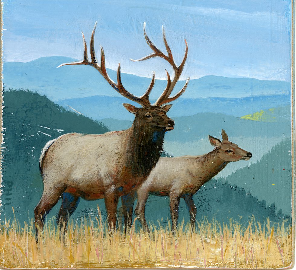 The Buck Stops Here