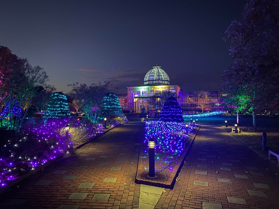 Photo Essay: Lights and Laughs