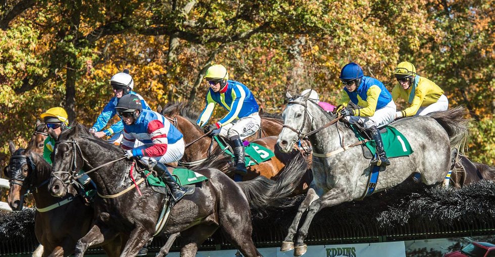Historic Steeplechase