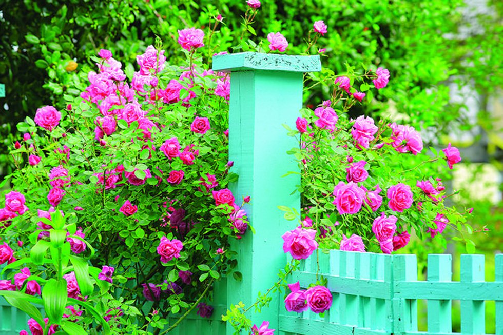 Historic Garden Week 2017