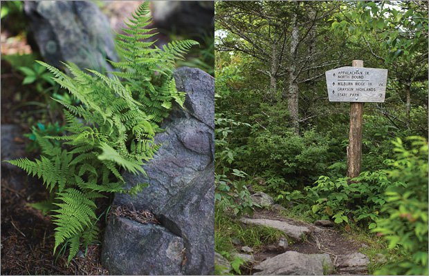 Some Appalachian Trail Resources