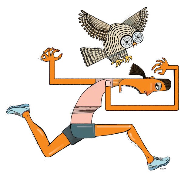 Birds Just Want to Have Fun