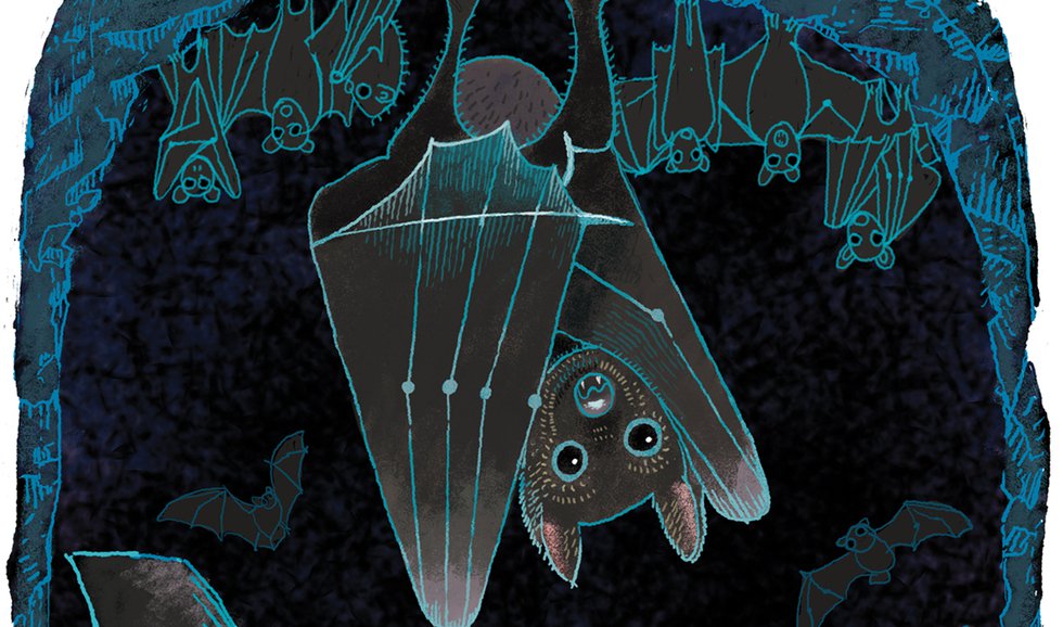 Bat Not Forgotten