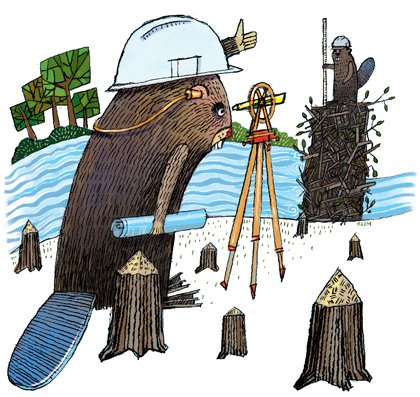 Dam Beavers