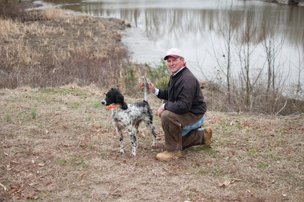 Top Dogs!