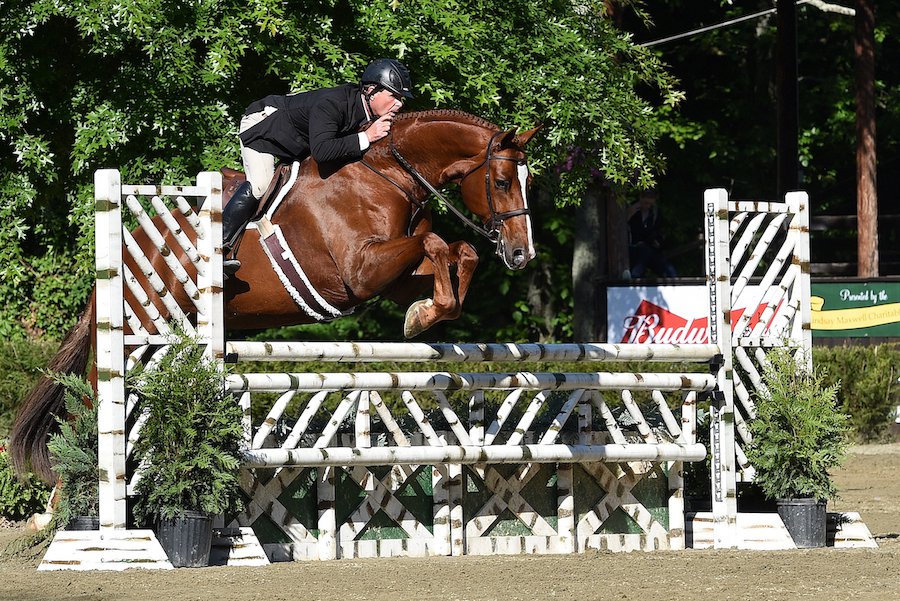Keswick Horse Show