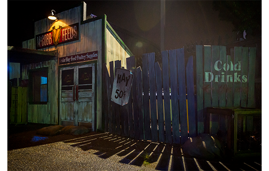 Old Haunts