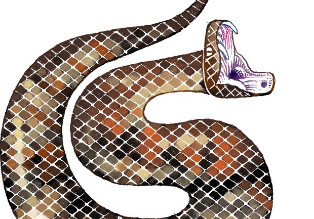 Snake Mistake