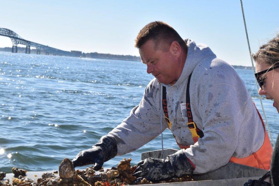 Gone Oystering
