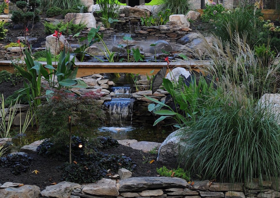 Backyard Oasis