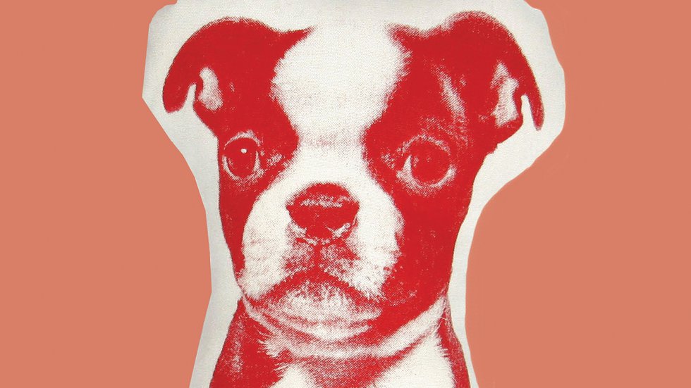 Dogged Appreciation