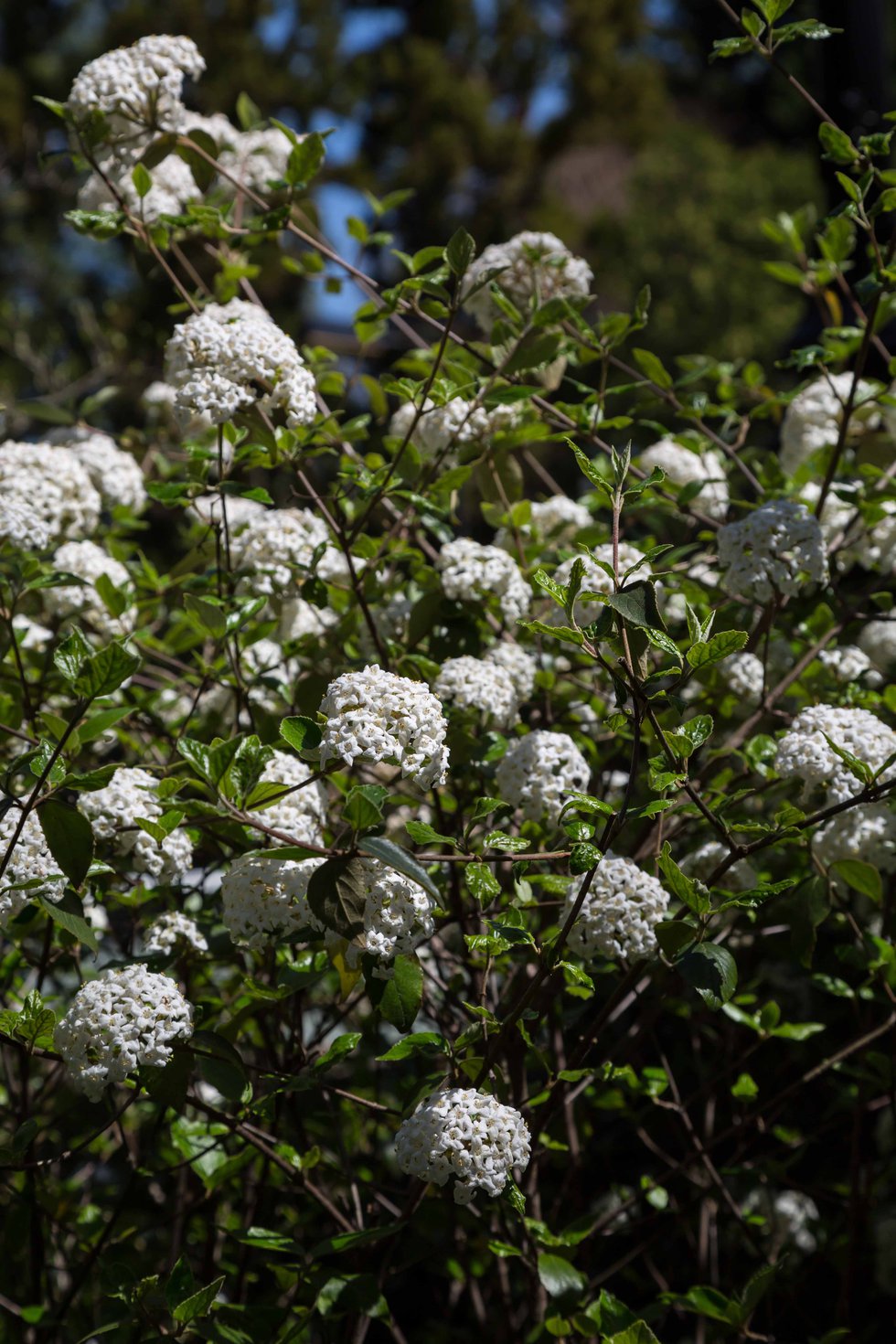 Editor’s Letter: Holdin’ Out for Spring