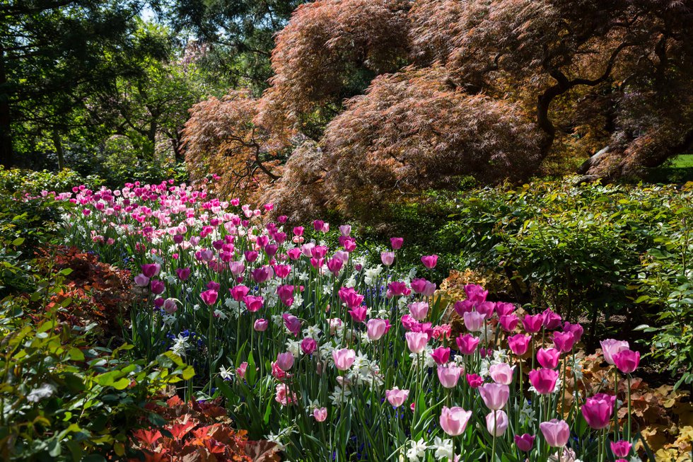 Historic Garden Week Celebrates Ballantrae Farm