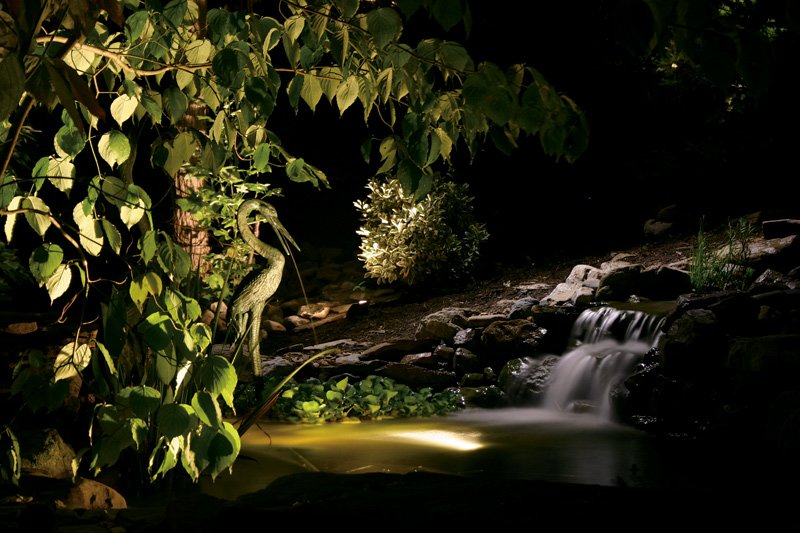 The Illuminated Garden: A Bright Idea