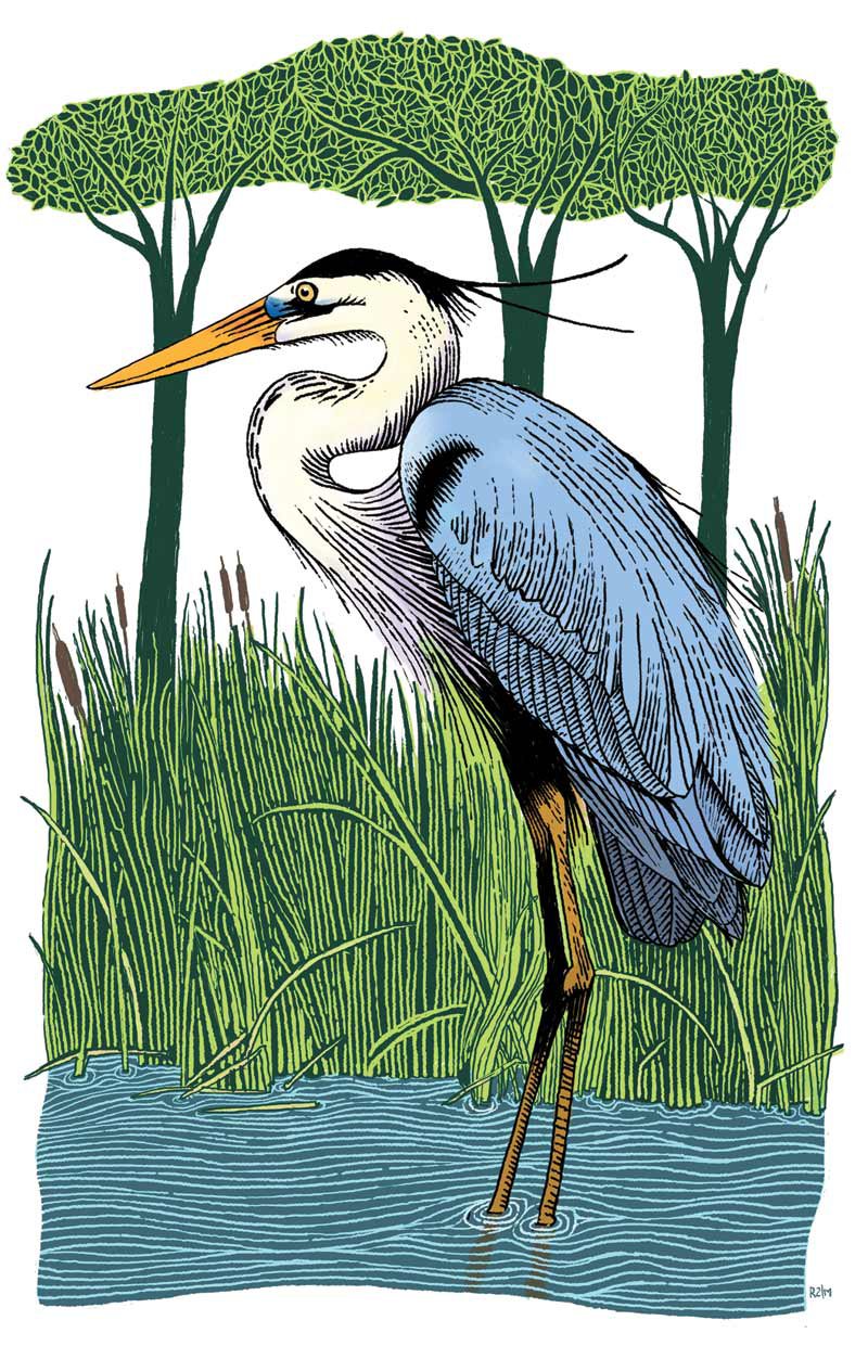 Holy Heron!
