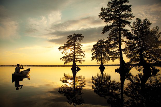 The Great Dismal Swamp