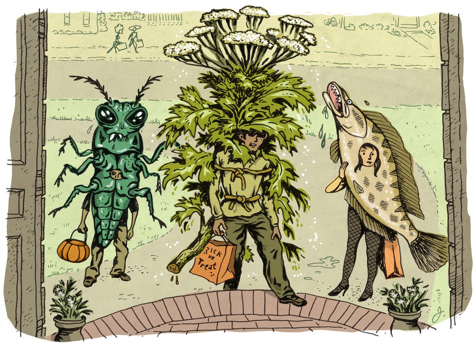 Hogweed from Hell