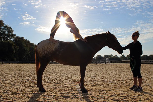 Equine-imity