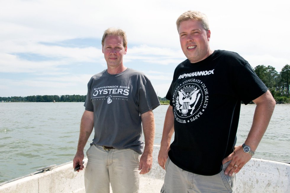 Bivalve Revival