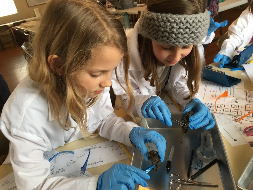 Science Unbound