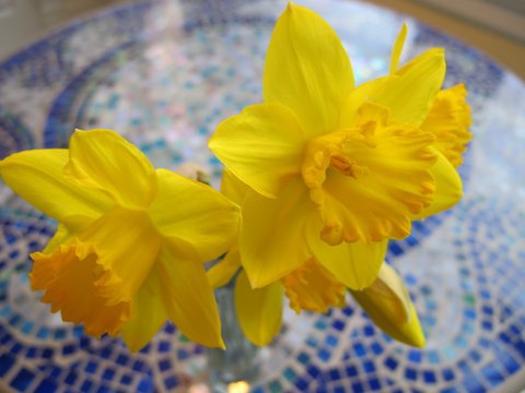 Warm Winter or Pseudo-Spring?