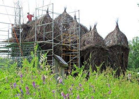 Sculpting Big Dreams in the Garden