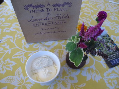 The Lure of Lavender