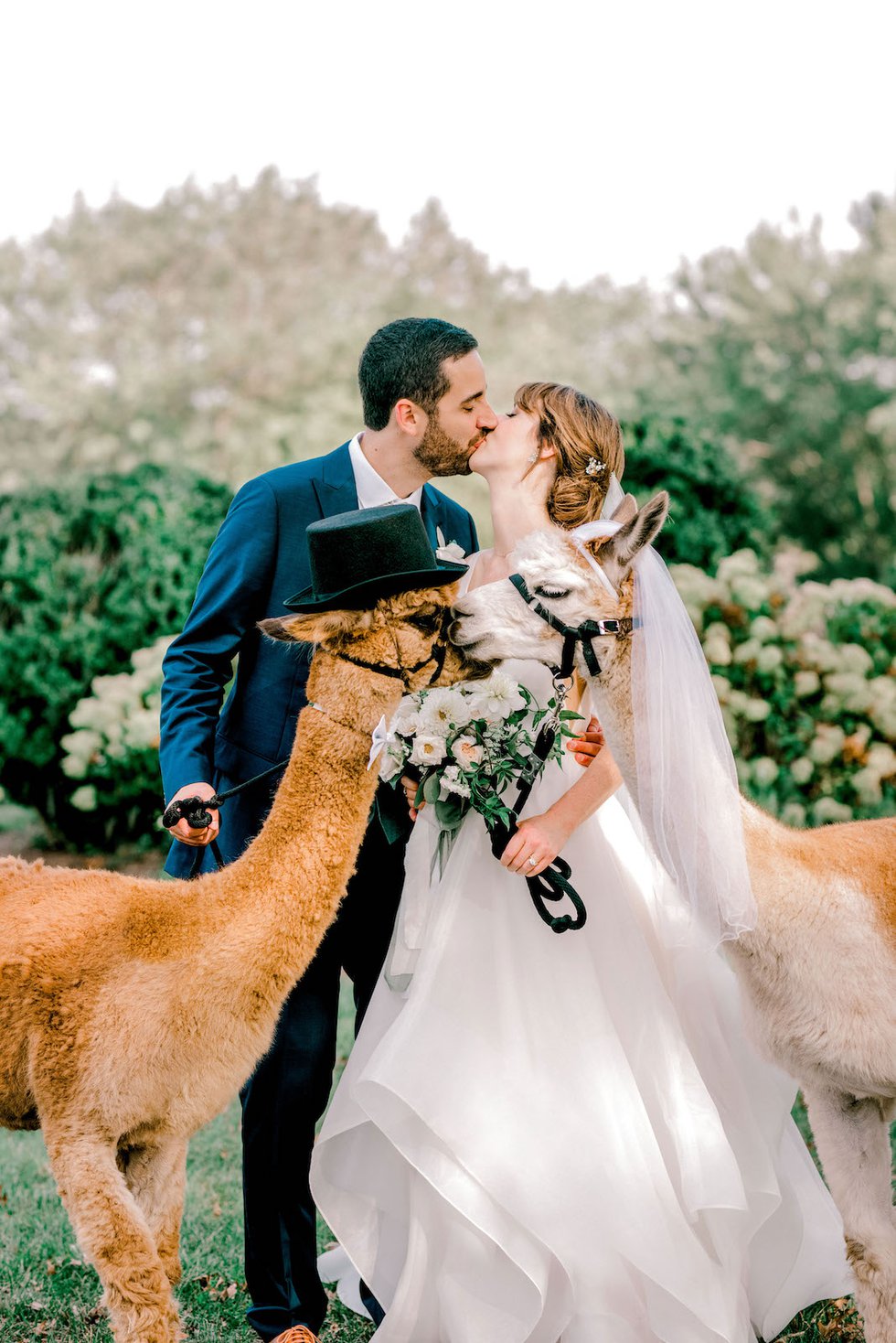 Jillian Brown & Andrew Johnson