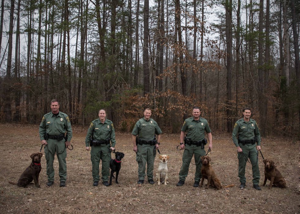 Canine Cops