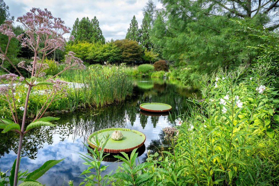 Garden of Grace