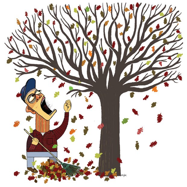 Leafing Out
