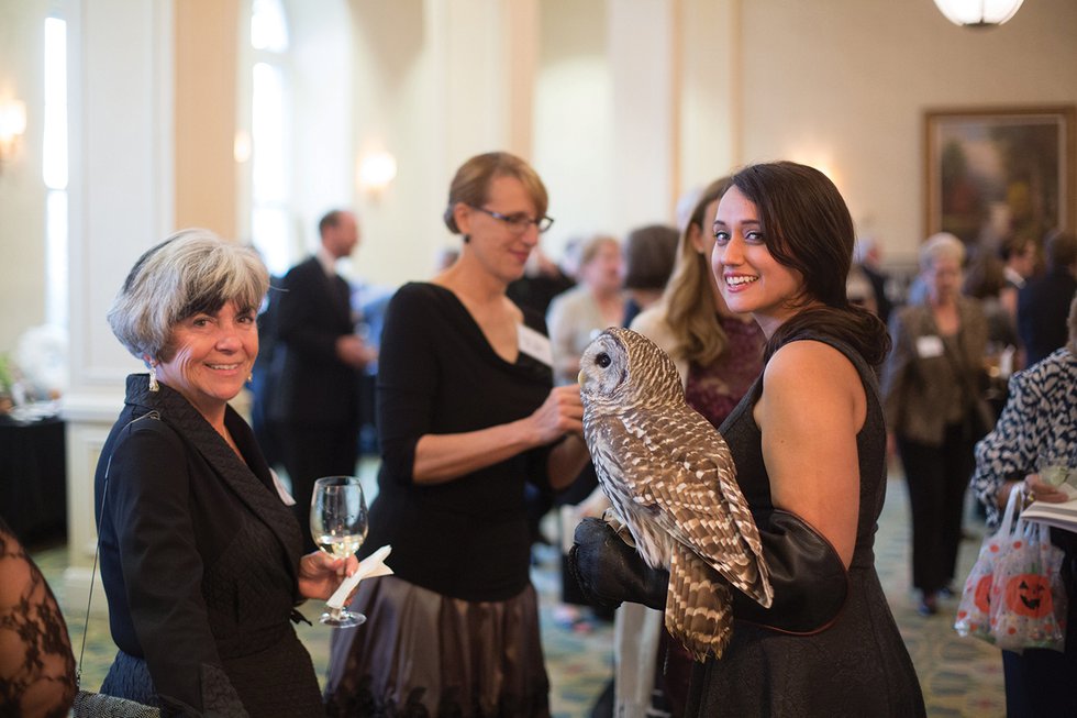 Wildlife Center of Virginia Gala & Benefit Auction