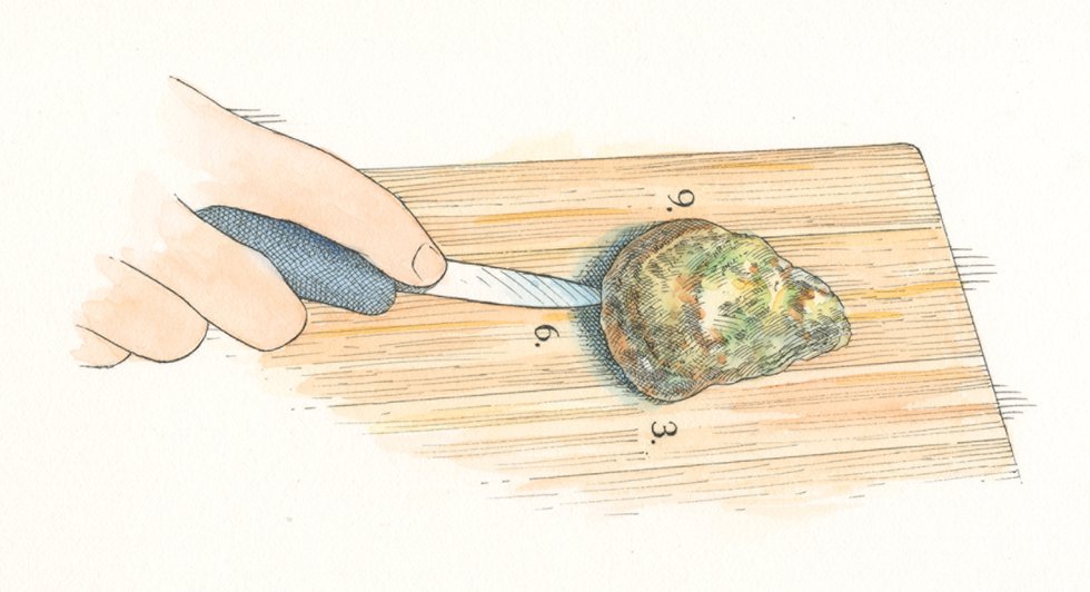 Give ‘Em Shell