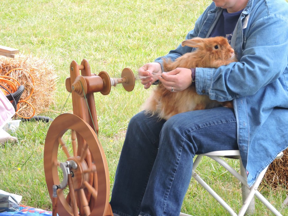 On the Farm