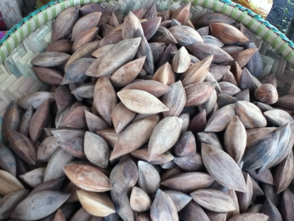 Pili Perfection