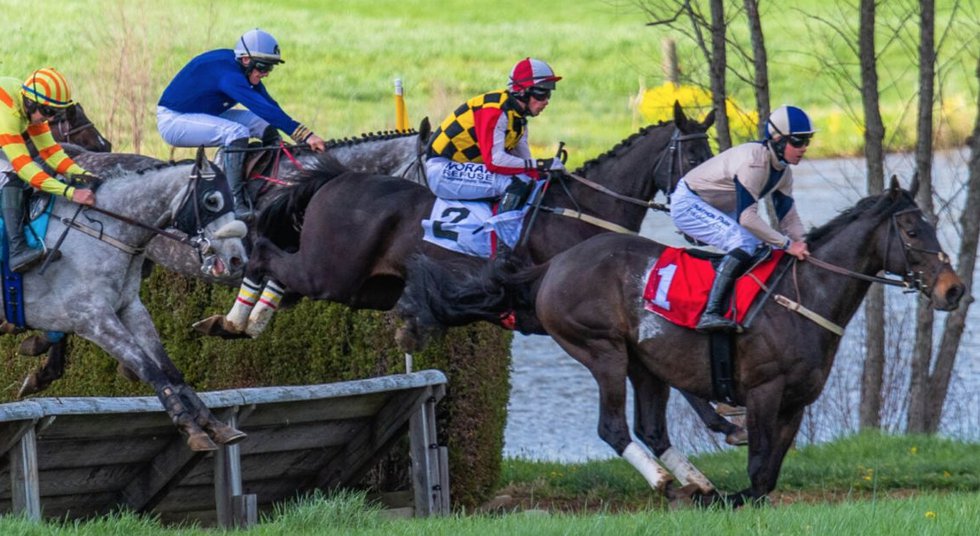 Virginia Gold Cup Finally Takes The Field