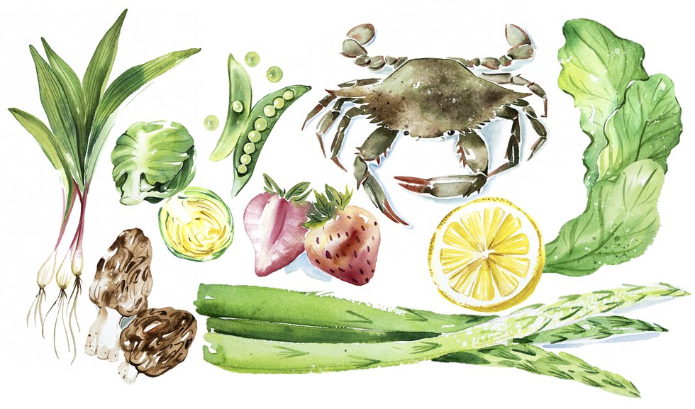 What Foods Say Spring?