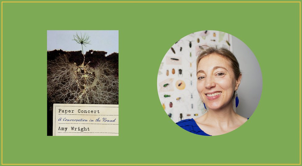 Amy Wright Interview