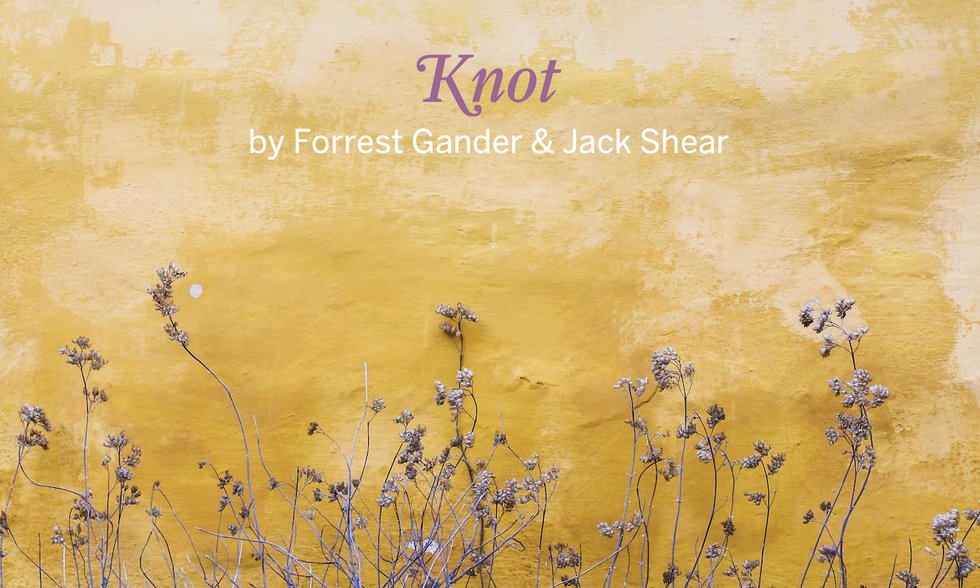 Knot by Forrest Gander