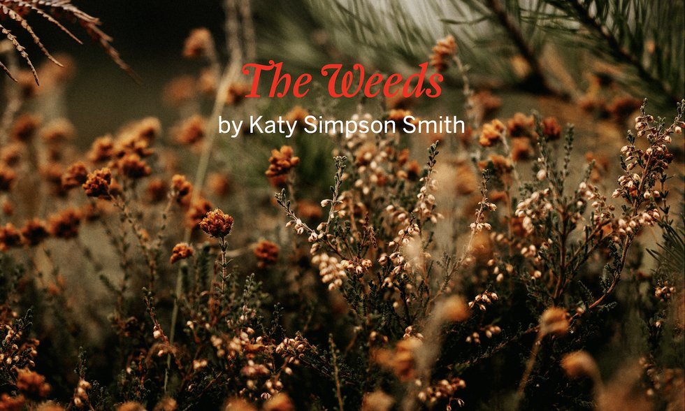 The Weeds by Katy Simpson Smith
