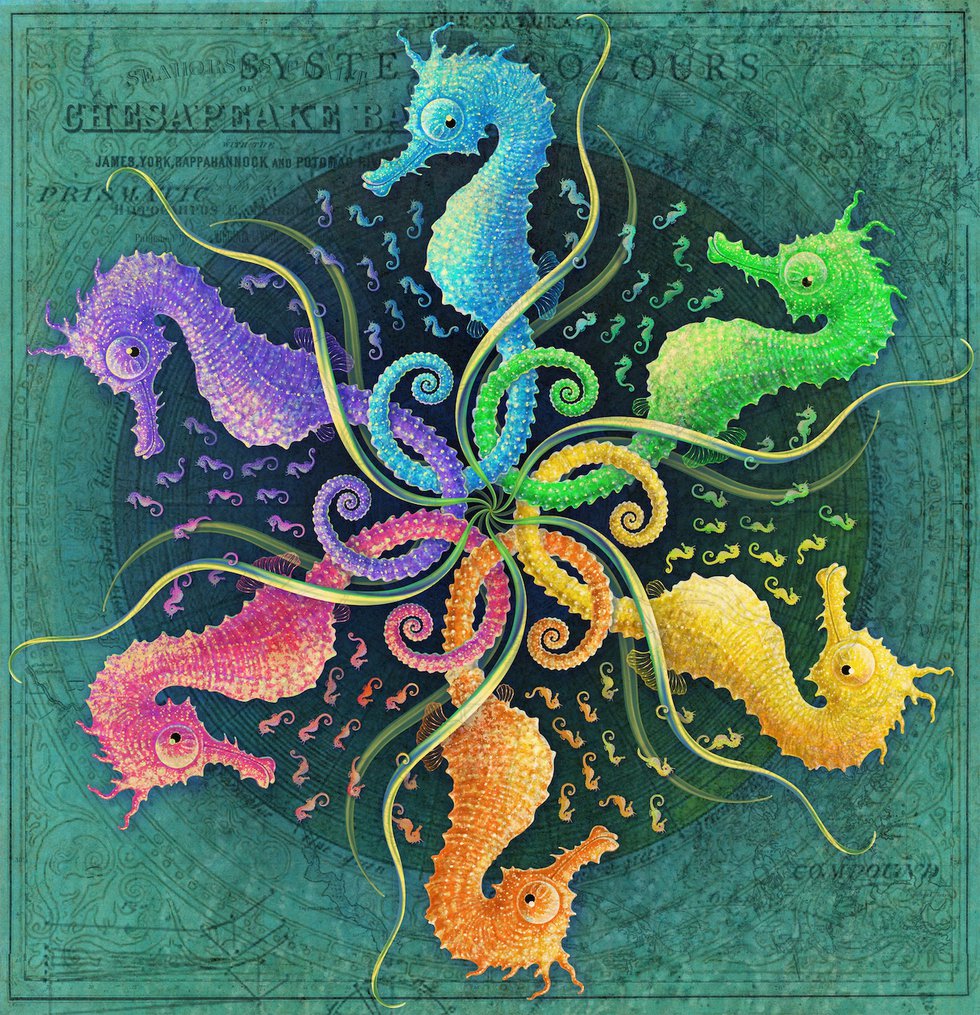 A Horse of Many Different Colors
