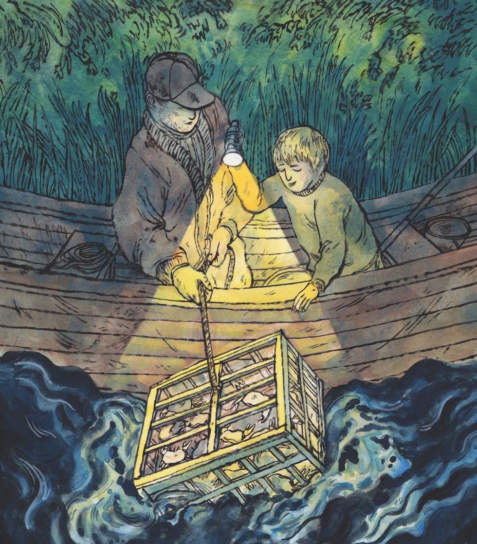 The Soft Shells of Summer