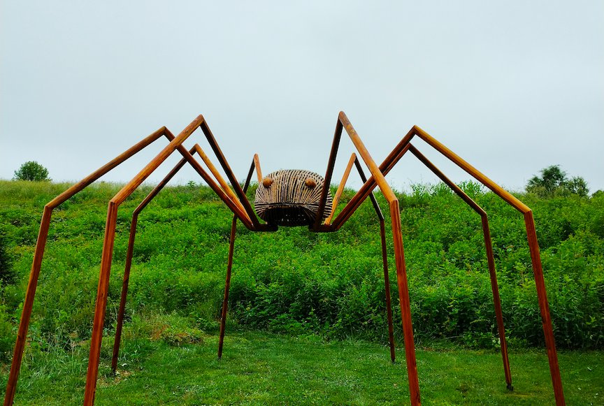 Bugging Out